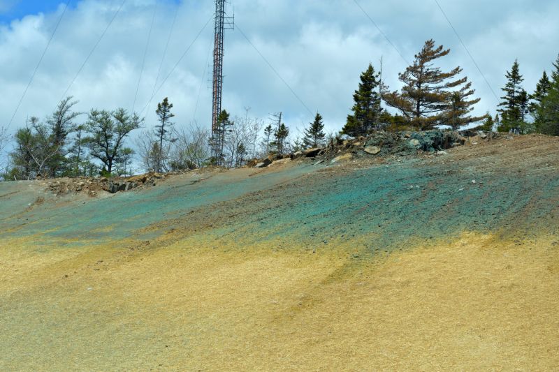 Hillside Vegetation Control Service