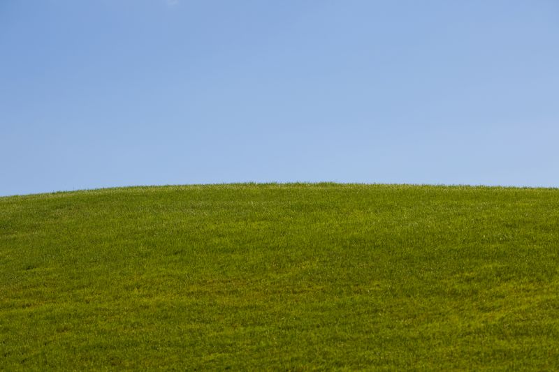 Hillside Vegetation Control