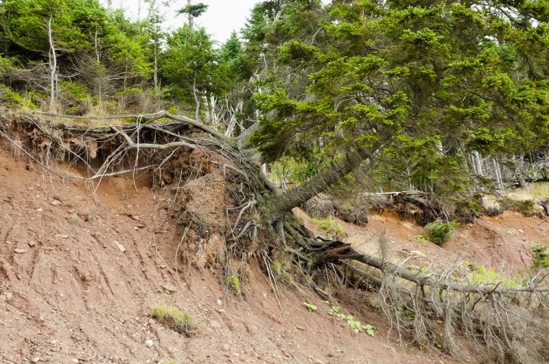Steep Slope Stabilization