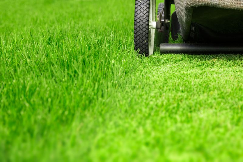 Lawn Mowing Close-up