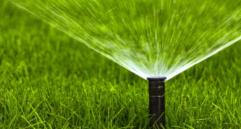 Sprinkler Head Maintenance